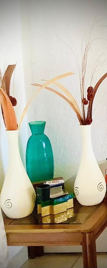 Casa Flores アカプルコ エクステリア 写真