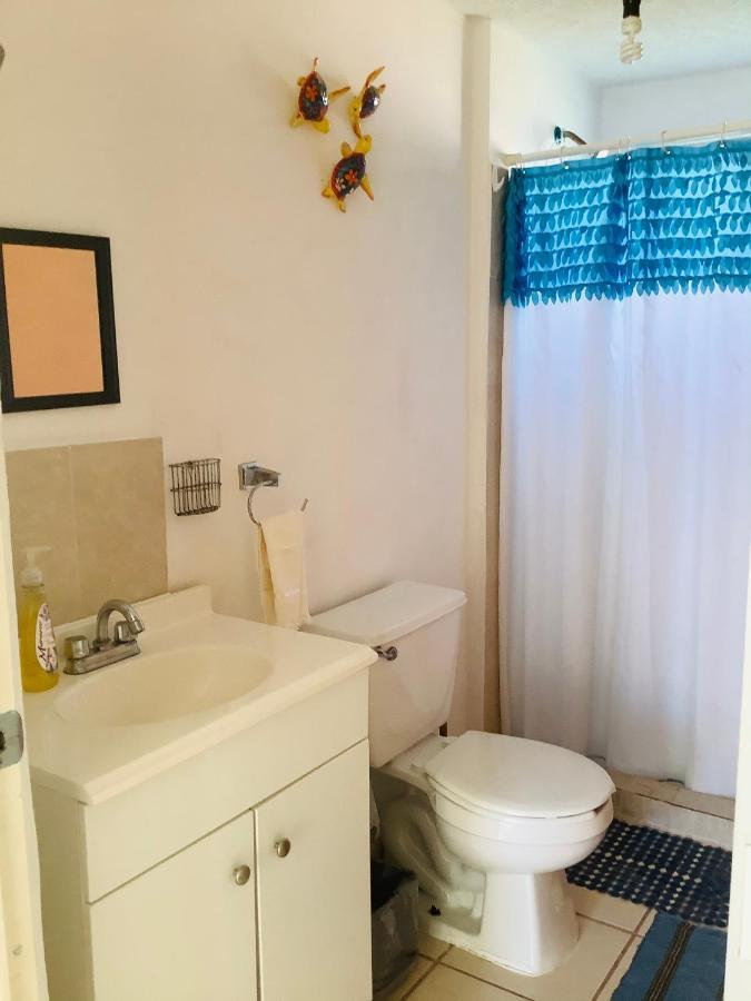 Casa Flores アカプルコ エクステリア 写真